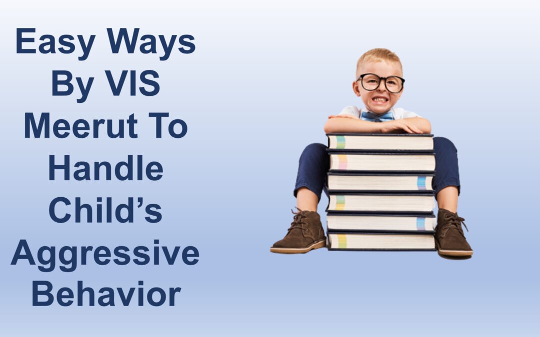 Easy Ways By VIS Meerut To Handle Child’s Aggressive Behavior